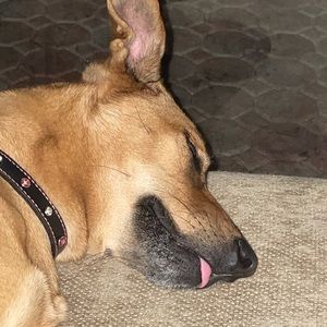 Meet your Posher, Katherine